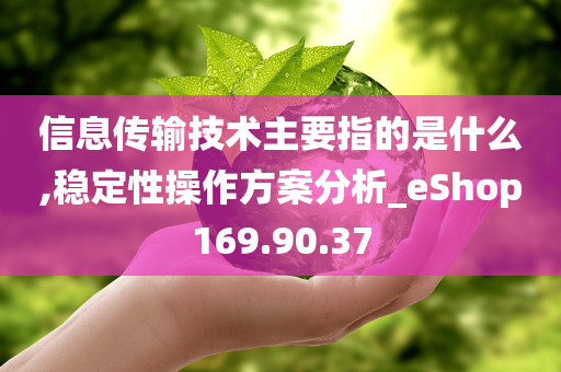 信息传输技术主要指的是什么,稳定性操作方案分析_eShop169.90.37