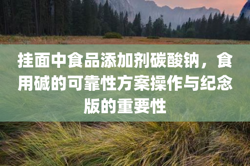 挂面中食品添加剂碳酸钠，食用碱的可靠性方案操作与纪念版的重要性