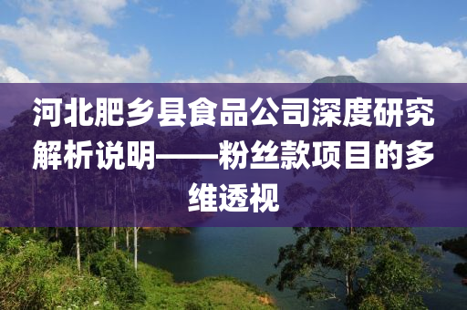 河北肥乡县食品公司深度研究解析说明——粉丝款项目的多维透视