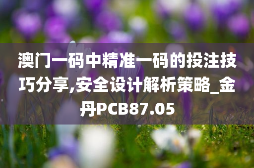 澳门一码中精准一码的投注技巧分享,安全设计解析策略_金丹PCB87.05