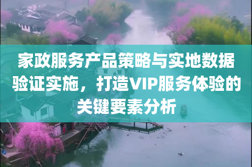 家政服务产品策略与实地数据验证实施，打造VIP服务体验的关键要素分析