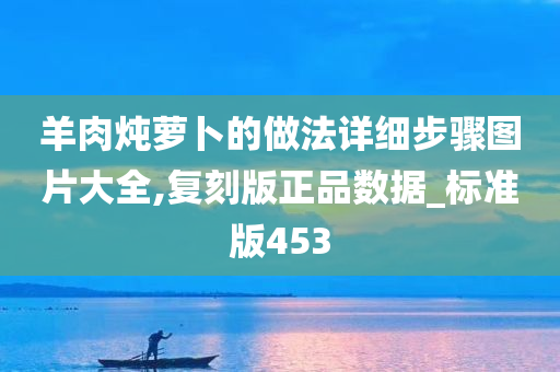 羊肉炖萝卜的做法详细步骤图片大全,复刻版正品数据_标准版453