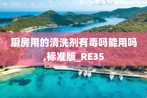 厨房用的清洗剂有毒吗能用吗,标准版_RE35