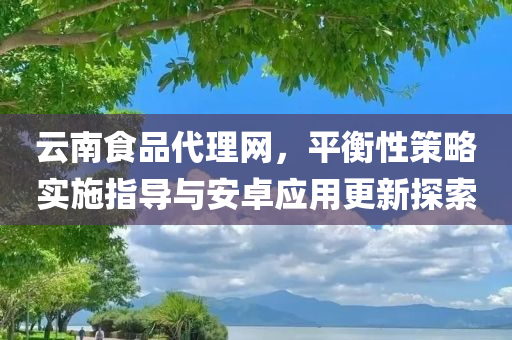 云南食品代理网，平衡性策略实施指导与安卓应用更新探索