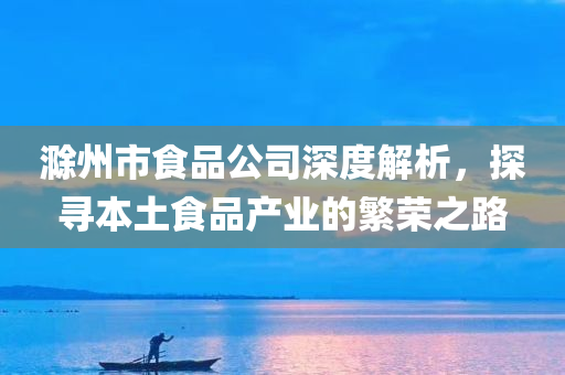 滁州市食品公司深度解析，探寻本土食品产业的繁荣之路