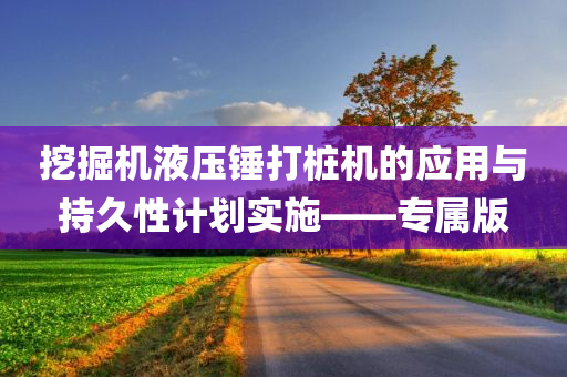 挖掘机液压锤打桩机的应用与持久性计划实施——专属版