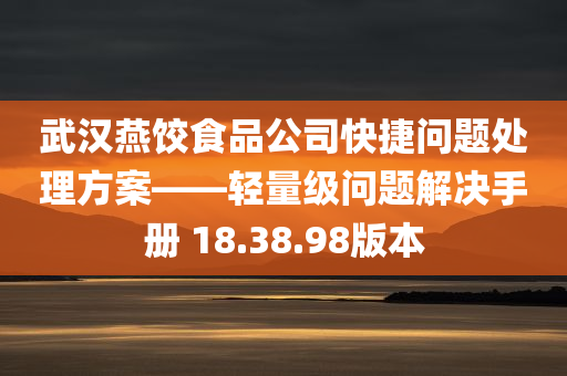 武汉燕饺食品公司快捷问题处理方案——轻量级问题解决手册 18.38.98版本