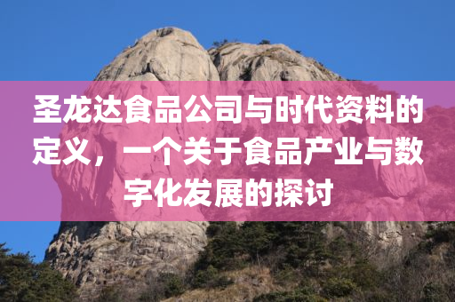 圣龙达食品公司与时代资料的定义，一个关于食品产业与数字化发展的探讨