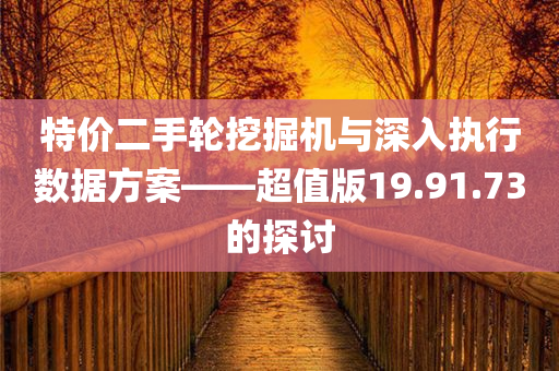 特价二手轮挖掘机与深入执行数据方案——超值版19.91.73的探讨