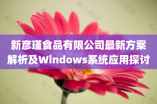 新彦瑾食品有限公司最新方案解析及Windows系统应用探讨