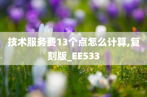 技术服务费13个点怎么计算,复刻版_EE533