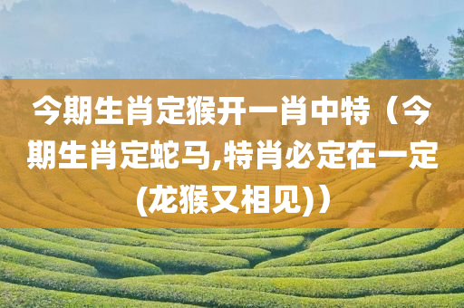 今期生肖定猴开一肖中特（今期生肖定蛇马,特肖必定在一定(龙猴又相见)）