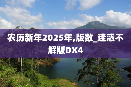 农历新年2025年,版数_迷惑不解版DX4