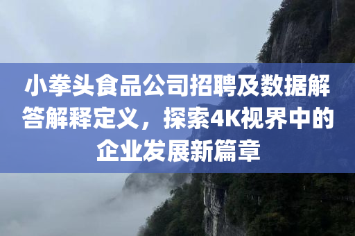 小拳头食品公司招聘及数据解答解释定义，探索4K视界中的企业发展新篇章