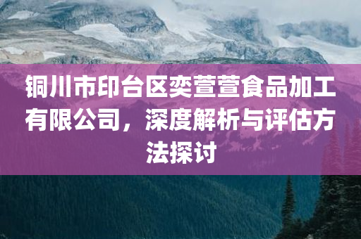 铜川市印台区奕萱萱食品加工有限公司，深度解析与评估方法探讨