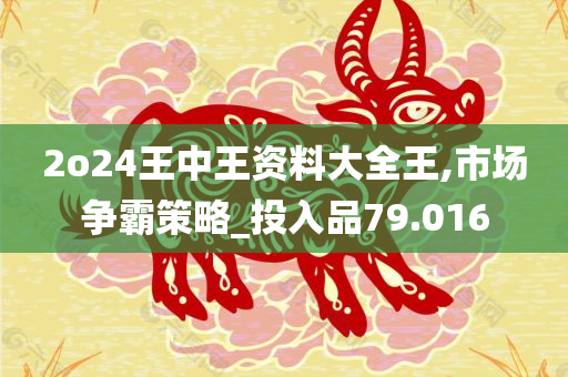 2o24王中王资料大全王,市场争霸策略_投入品79.016