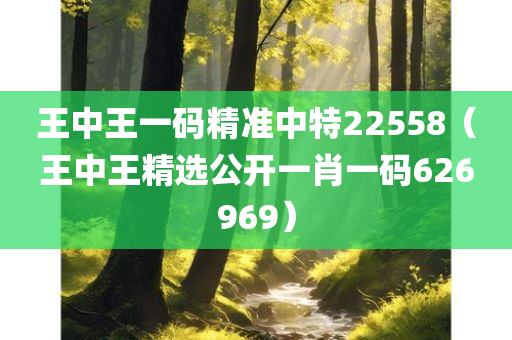 王中王一码精准中特22558（王中王精选公开一肖一码626969）