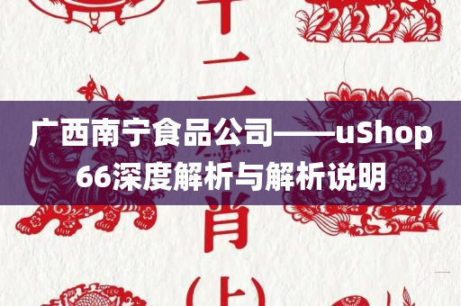 广西南宁食品公司——uShop66深度解析与解析说明