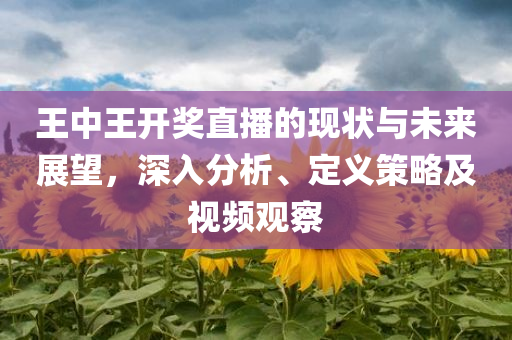 王中王开奖直播的现状与未来展望，深入分析、定义策略及视频观察