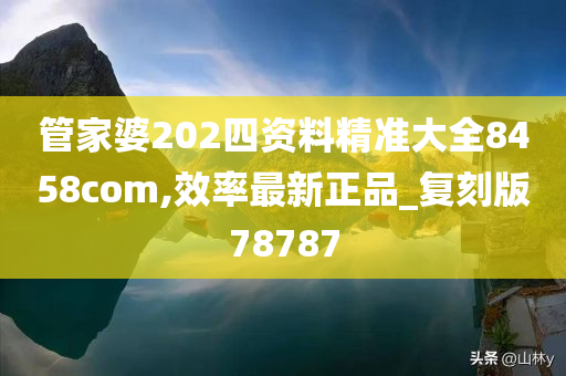 管家婆202四资料精准大全8458com,效率最新正品_复刻版78787