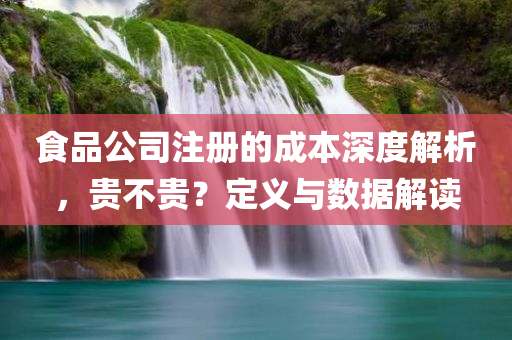 食品公司注册的成本深度解析，贵不贵？定义与数据解读