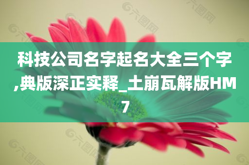 科技公司名字起名大全三个字,典版深正实释_土崩瓦解版HM7