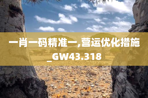 一肖一码精准一,营运优化措施_GW43.318