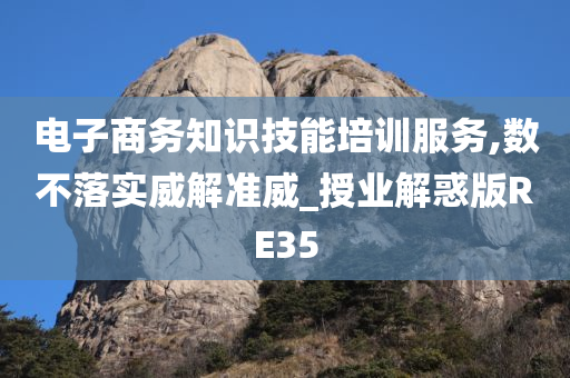 电子商务知识技能培训服务,数不落实威解准威_授业解惑版RE35