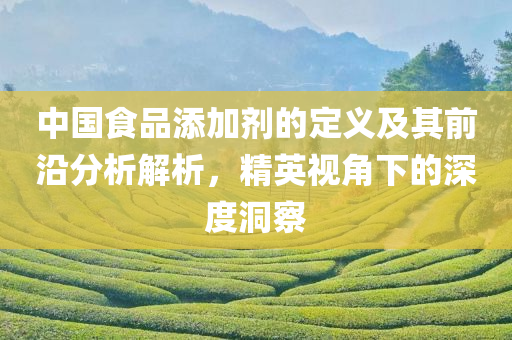 中国食品添加剂的定义及其前沿分析解析，精英视角下的深度洞察