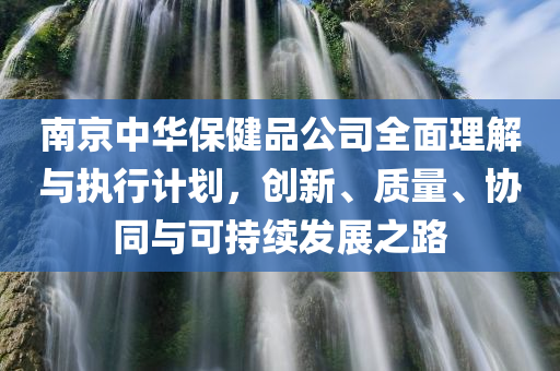 南京中华保健品公司全面理解与执行计划，创新、质量、协同与可持续发展之路