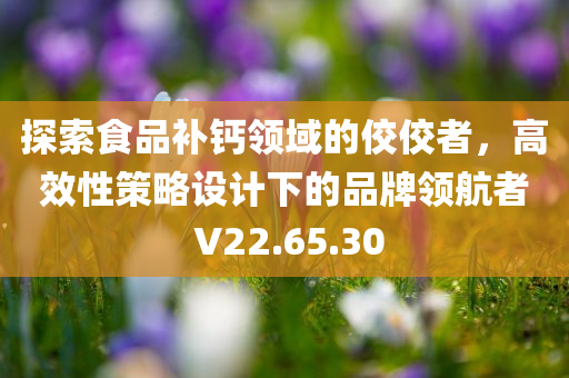 探索食品补钙领域的佼佼者，高效性策略设计下的品牌领航者 V22.65.30