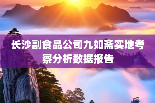 长沙副食品公司九如斋实地考察分析数据报告