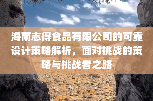 海南志得食品有限公司的可靠设计策略解析，面对挑战的策略与挑战者之路