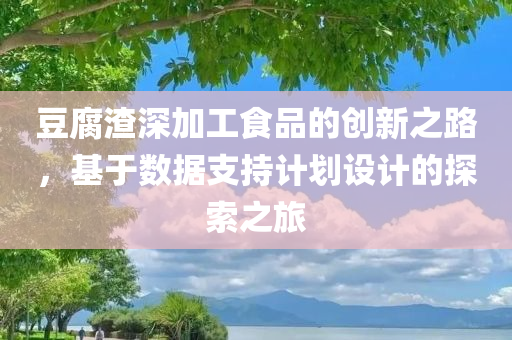 豆腐渣深加工食品的创新之路，基于数据支持计划设计的探索之旅