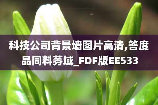 科技公司背景墙图片高清,答度品同料莠域_FDF版EE533