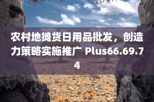 农村地摊货日用品批发，创造力策略实施推广 Plus66.69.74