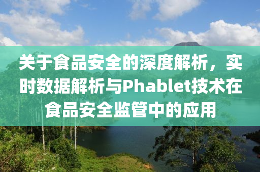 关于食品安全的深度解析，实时数据解析与Phablet技术在食品安全监管中的应用