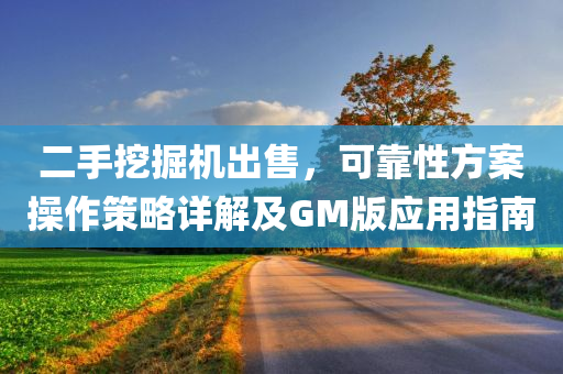 二手挖掘机出售，可靠性方案操作策略详解及GM版应用指南