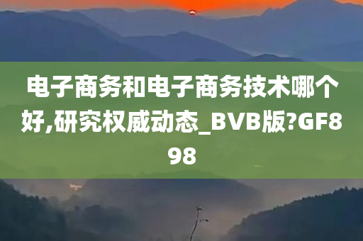 电子商务和电子商务技术哪个好,研究权威动态_BVB版?GF898