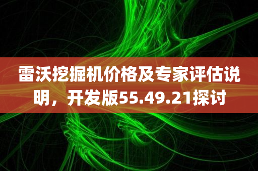 雷沃挖掘机价格及专家评估说明，开发版55.49.21探讨