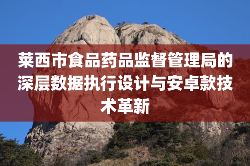 莱西市食品药品监督管理局的深层数据执行设计与安卓款技术革新