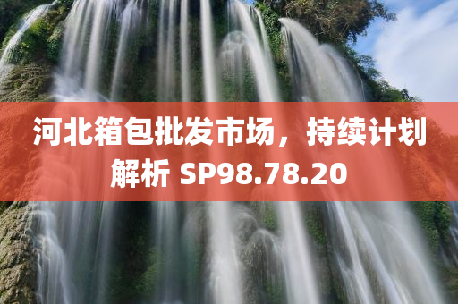 河北箱包批发市场，持续计划解析 SP98.78.20