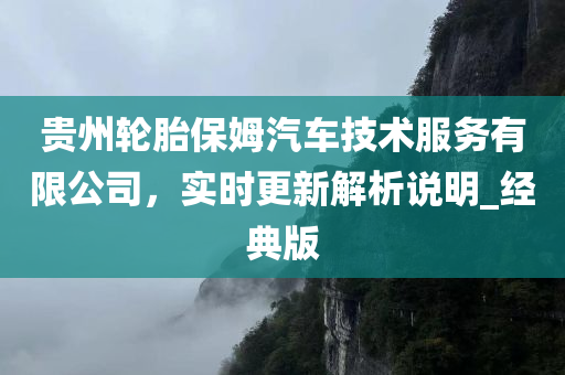 贵州轮胎保姆汽车技术服务有限公司，实时更新解析说明_经典版