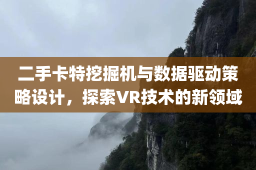 二手卡特挖掘机与数据驱动策略设计，探索VR技术的新领域