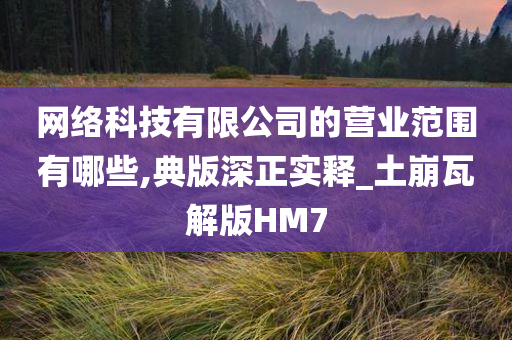 网络科技有限公司的营业范围有哪些,典版深正实释_土崩瓦解版HM7