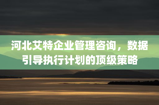 河北艾特企业管理咨询，数据引导执行计划的顶级策略