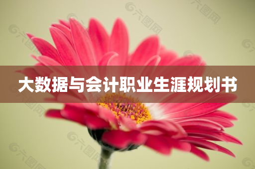 大数据与会计职业生涯规划书