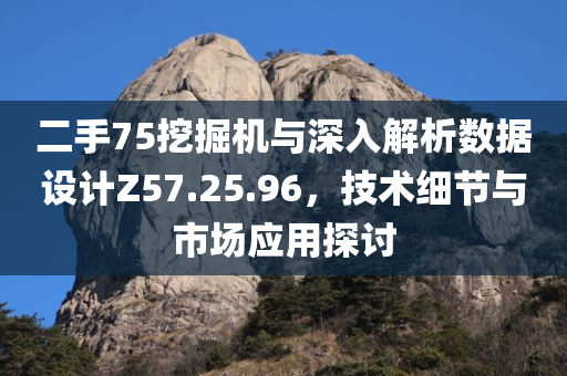 二手75挖掘机与深入解析数据设计Z57.25.96，技术细节与市场应用探讨