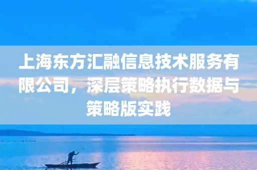 上海东方汇融信息技术服务有限公司，深层策略执行数据与策略版实践