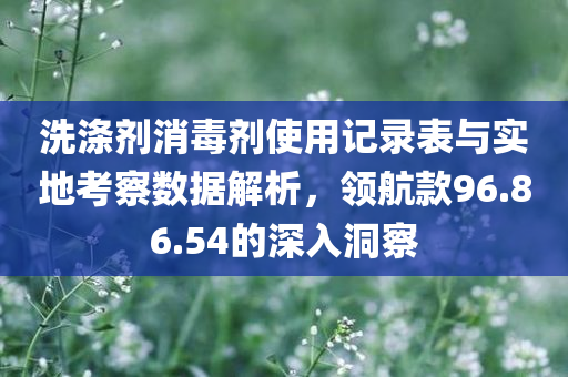 洗涤剂消毒剂使用记录表与实地考察数据解析，领航款96.86.54的深入洞察